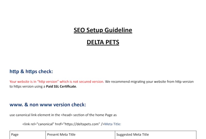 provide advanced website audit reports manually and technically